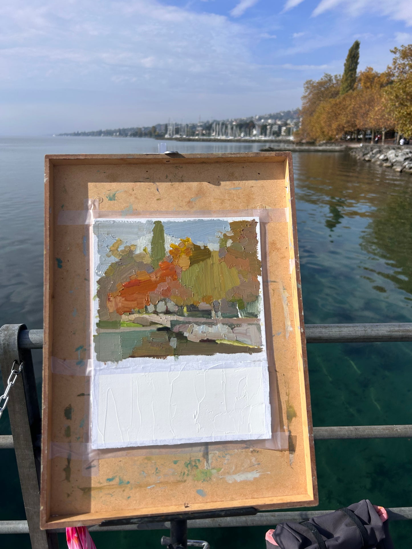 Promenade in Lutry. Hazy day, October. 11x28cm