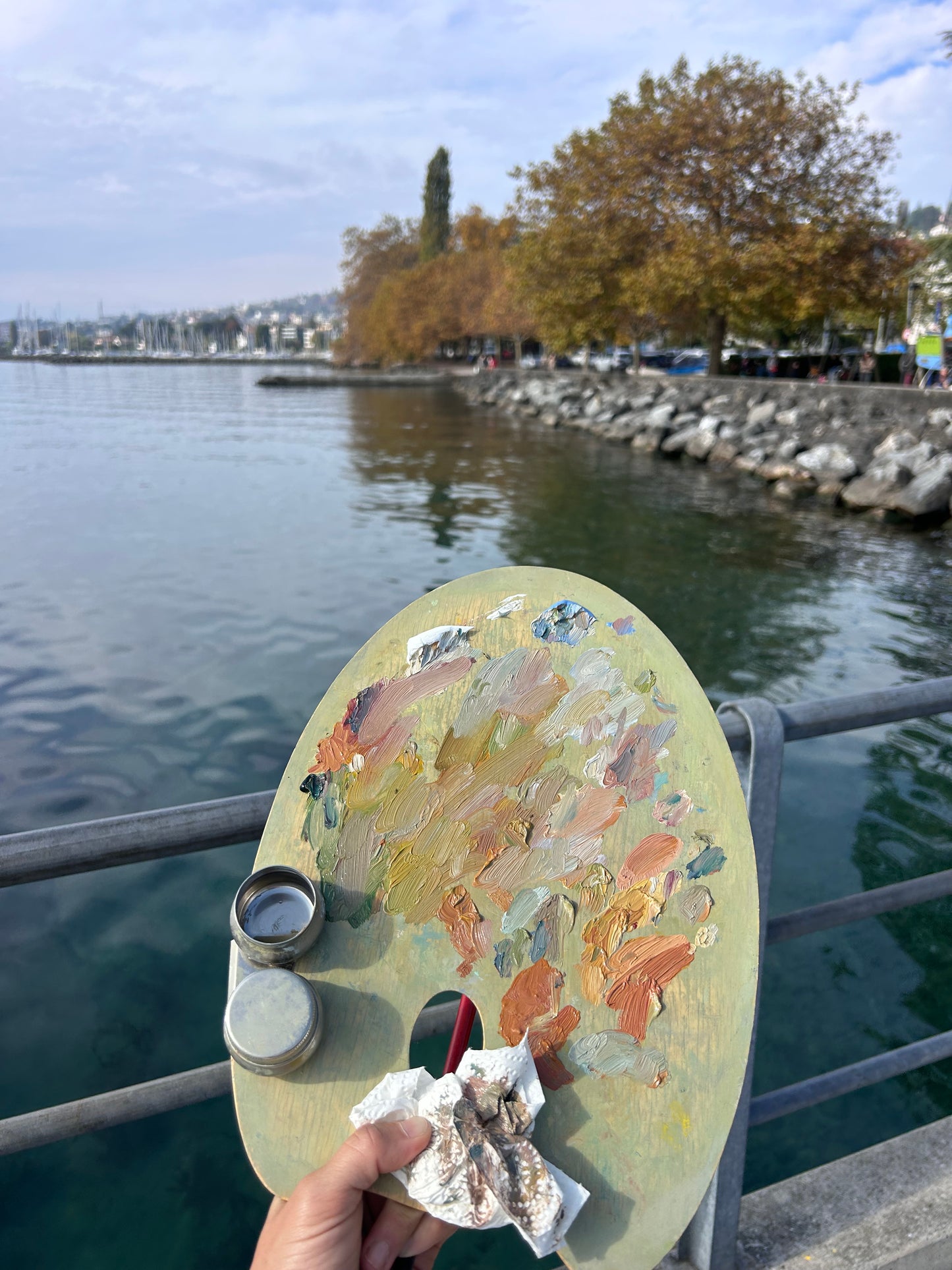 Promenade in Lutry. Hazy day, October. 11x28cm