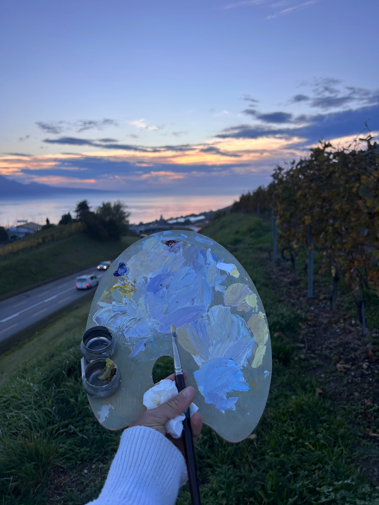 Sun behind the sunset clouds in Corsier-sur-Vevey. 9x33cm