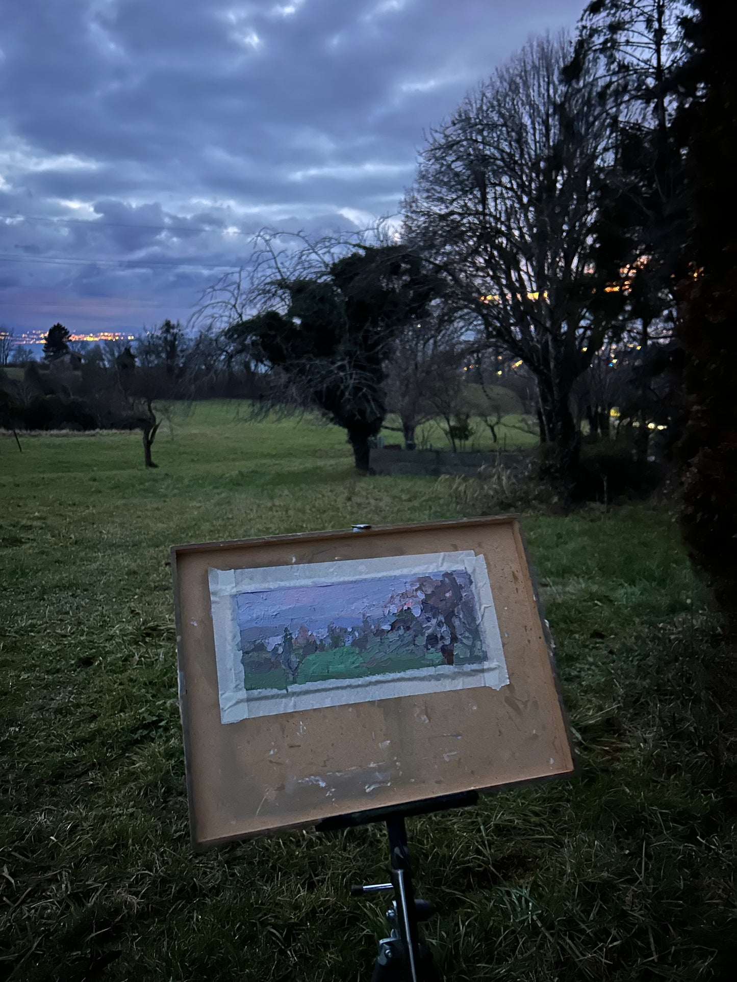 A tree with gray branches in the sunset fields. December. 10.5x28cm