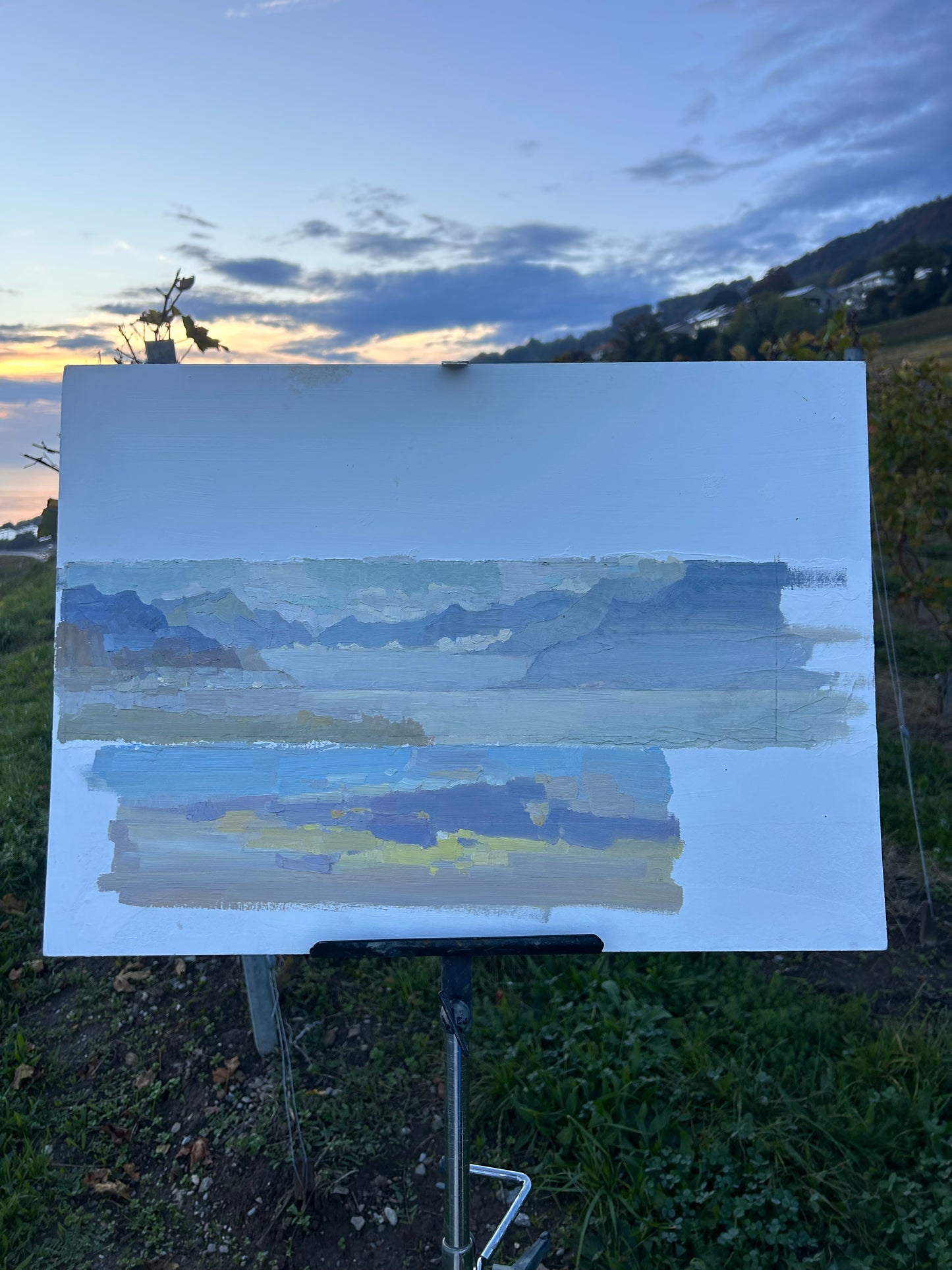 Sun behind the sunset clouds in Corsier-sur-Vevey. 9x33cm